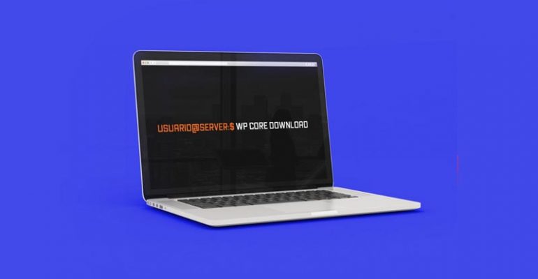 web hosting wordpress wp cli