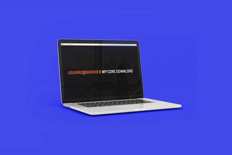 web hosting wordpress wp cli